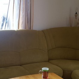 Wildleder Sofa 1